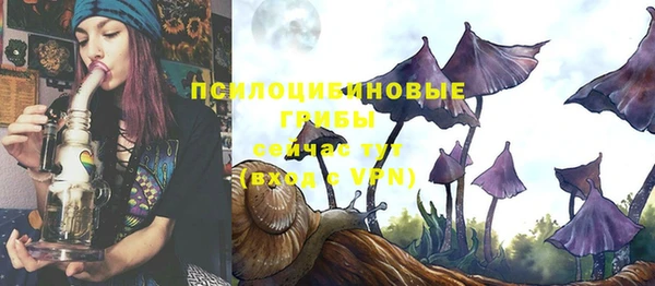 таблы Верея